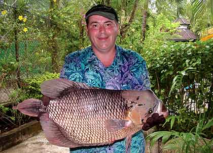 Giant Gourami from Par Lai Lake